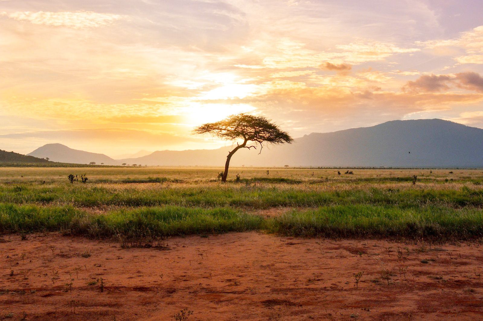 Africa