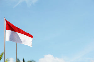 Indonesia - Breeze eSIM