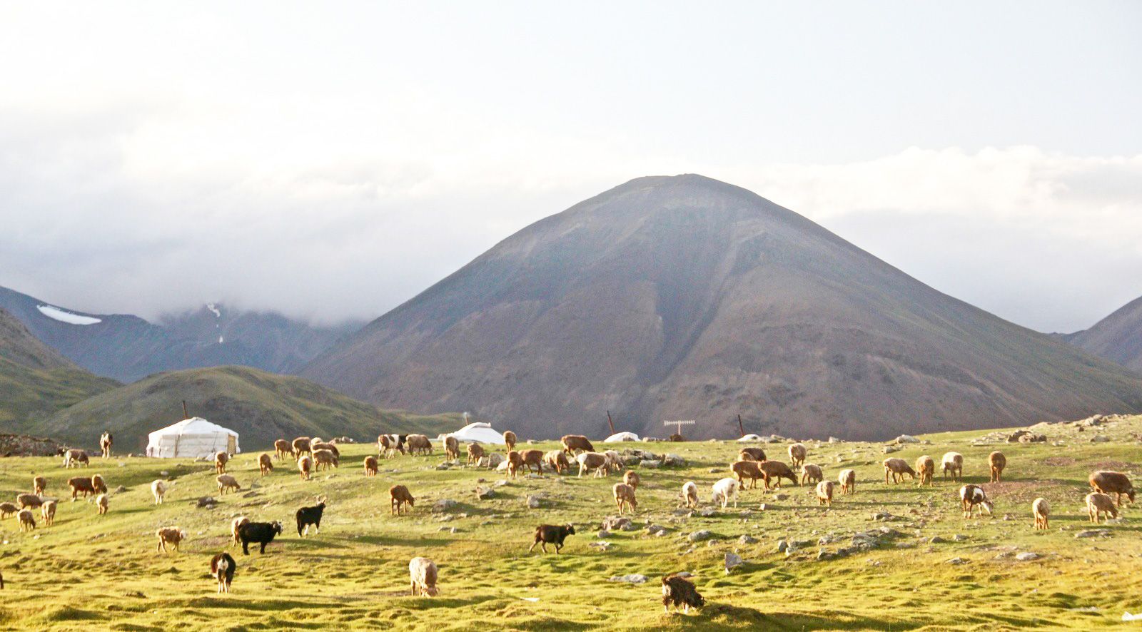 Mongolia