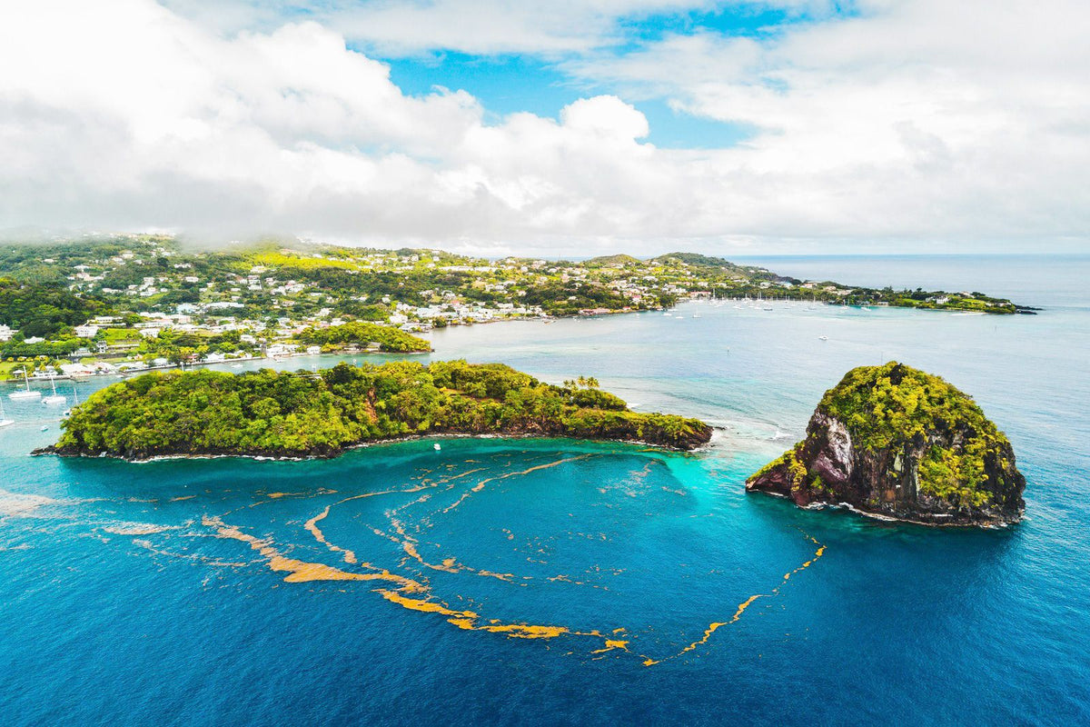 Saint Vincent Grenadines