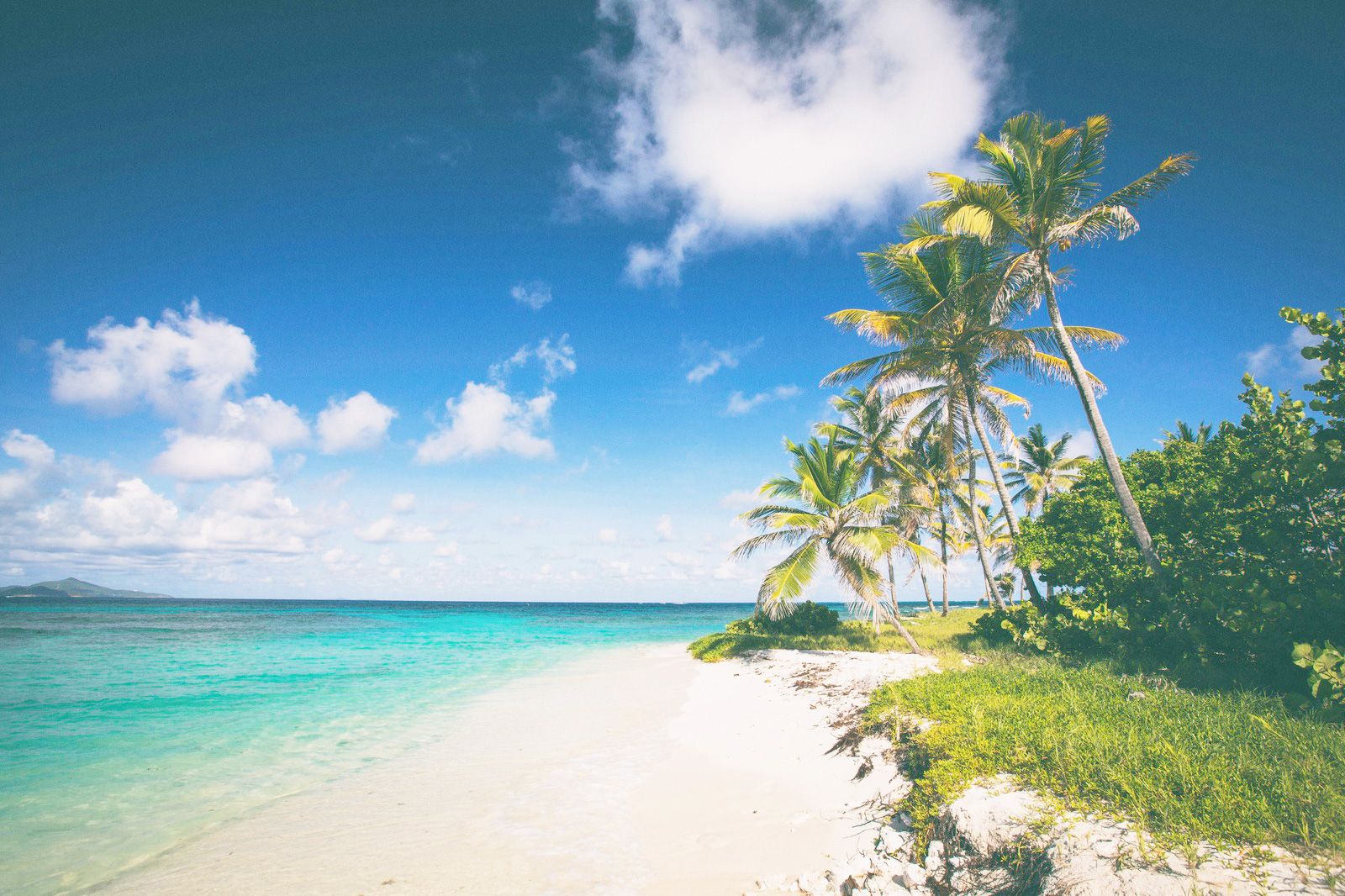 nimble Caribbean Relief