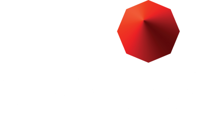 EFES logo